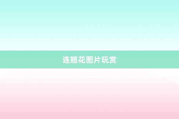 连翘花图片玩赏
