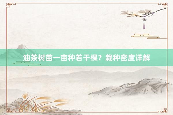 油茶树苗一亩种若干棵？栽种密度详解