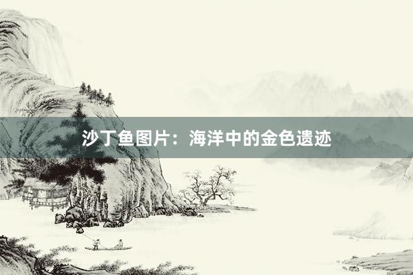 沙丁鱼图片：海洋中的金色遗迹