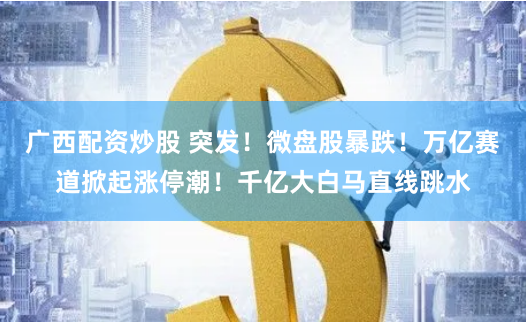 广西配资炒股 突发！微盘股暴跌！万亿赛道掀起涨停潮！千亿大白马直线跳水