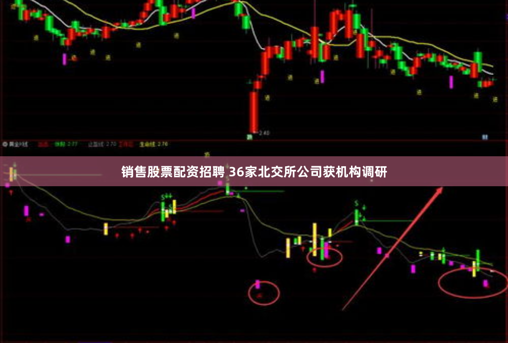 销售股票配资招聘 36家北交所公司获机构调研