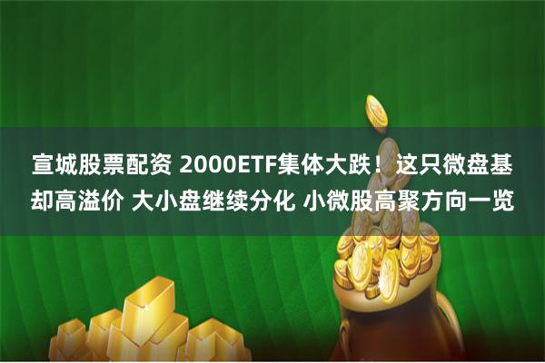 宣城股票配资 2000ETF集体大跌！这只微盘基却高溢价 大小盘继续分化 小微股高聚方向一览