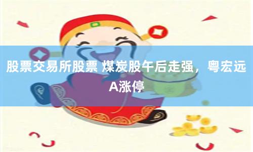 股票交易所股票 煤炭股午后走强，粤宏远A涨停