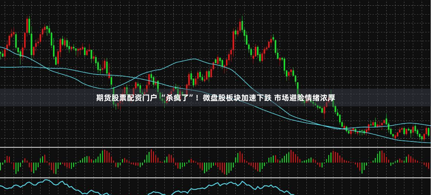 期货股票配资门户 “杀疯了”！微盘股板块加速下跌 市场避险情绪浓厚
