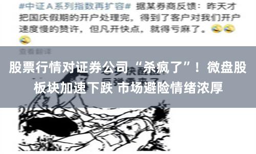 股票行情对证券公司 “杀疯了”！微盘股板块加速下跌 市场避险情绪浓厚