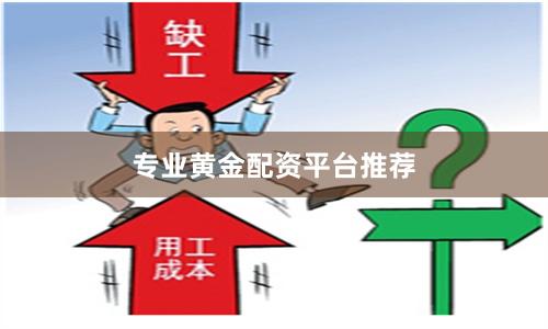 专业黄金配资平台推荐