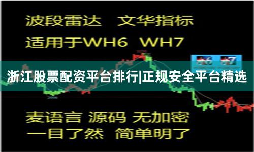 浙江股票配资平台排行|正规安全平台精选